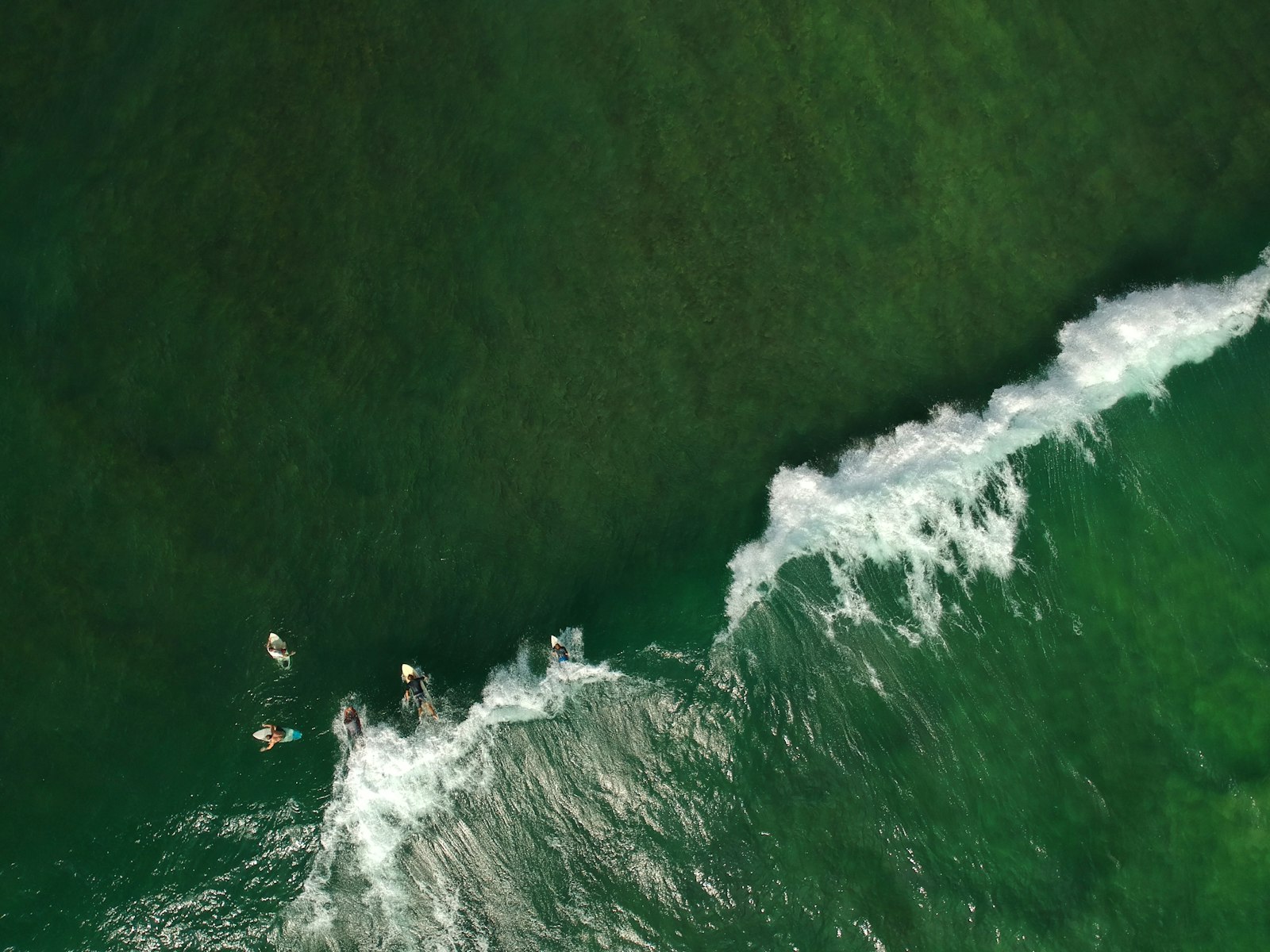 Kinder-surfles in het schuimwater van Whiskey Point